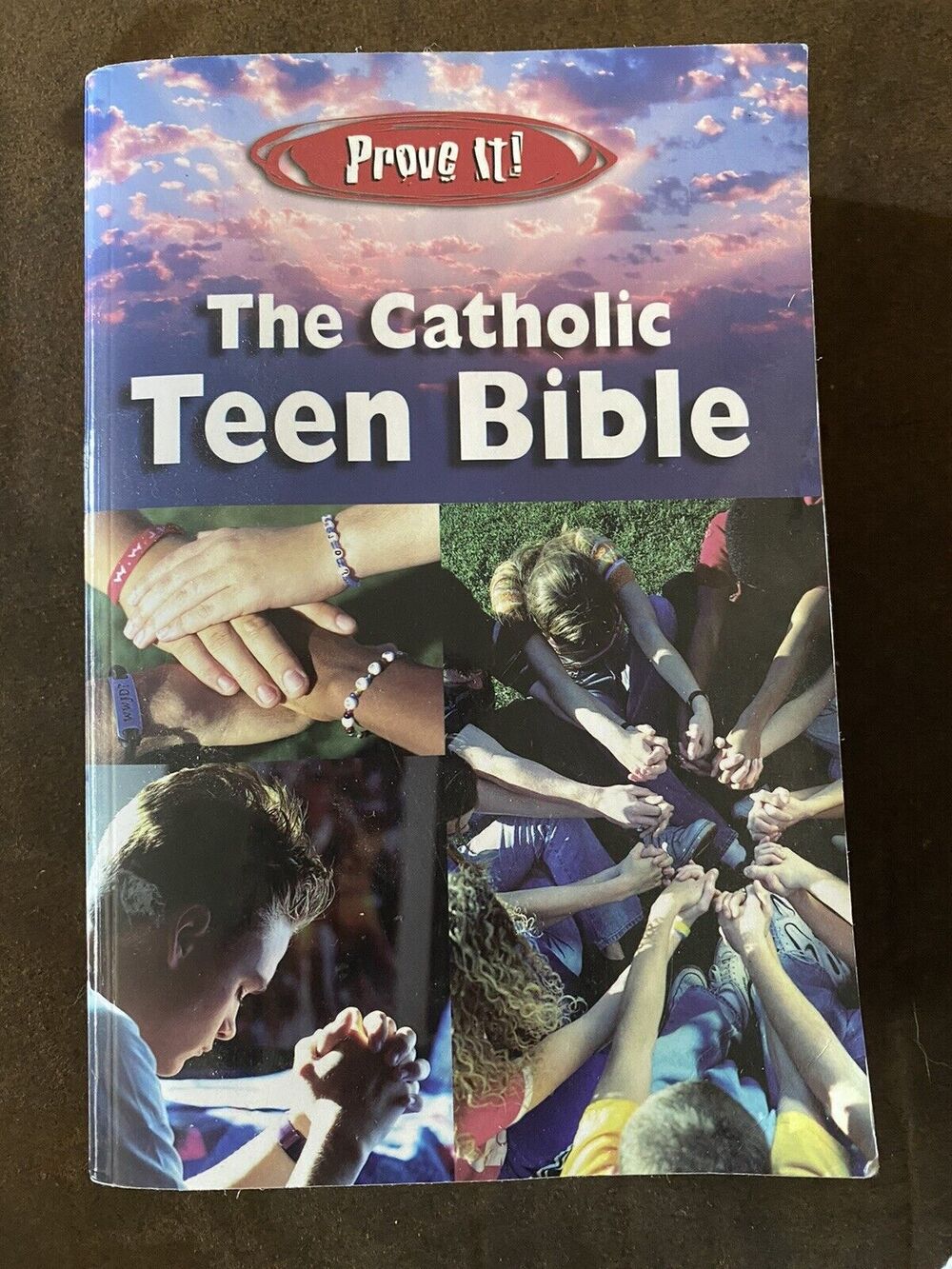 The Catholic Teen Bible StudyNAB Revised Edition Illustrated Inserts